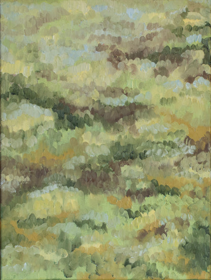 A Place the Wind Knows