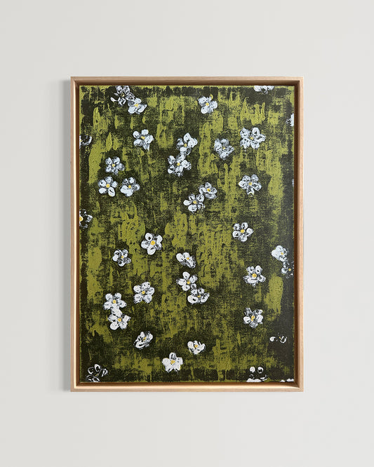 Fairy Flax Flowers 2
